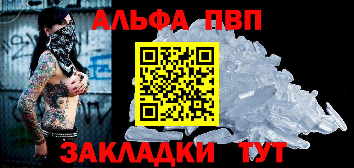 Альфа ПВП СК Новокузнецк