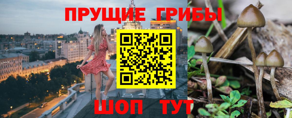 Новокузнецк  Галлюциногенные грибы ЛСД  Галлюциногенные грибы прущие грибы  Вход с VPN 