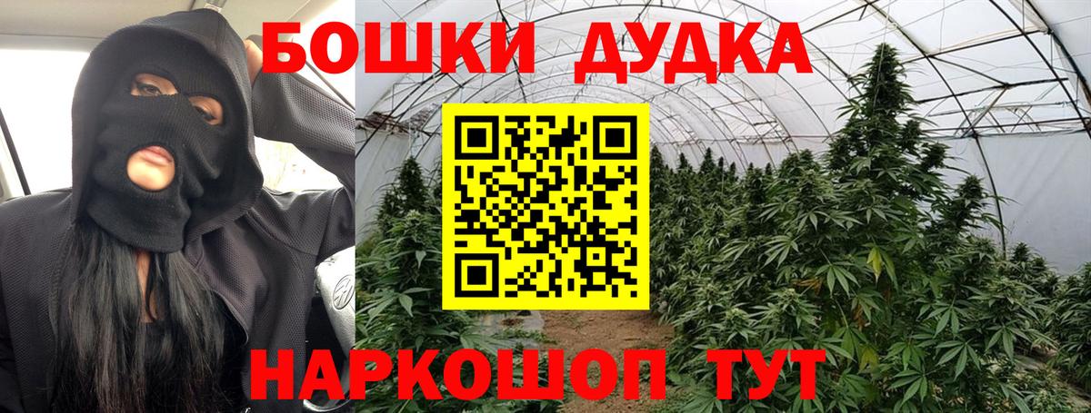 Конопля план  МАРИХУАНА тримм  Новокузнецк  Вход с VPN  Бошки марихуана конопля 